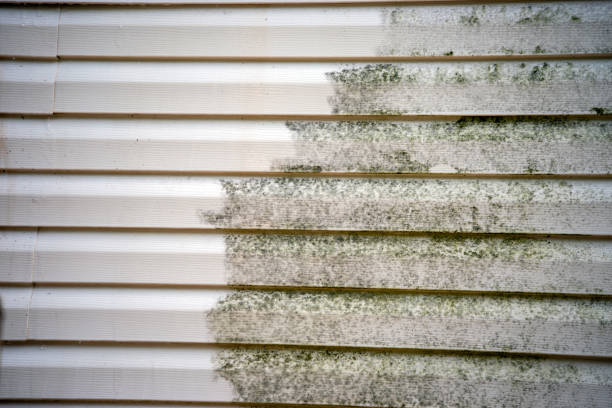 Best Property Management Cleanouts  in Wood River, IL